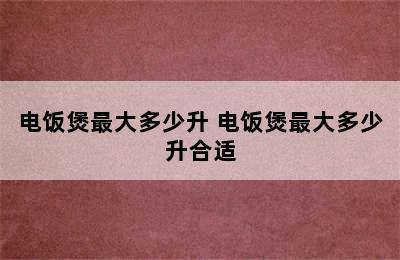 电饭煲最大多少升 电饭煲最大多少升合适